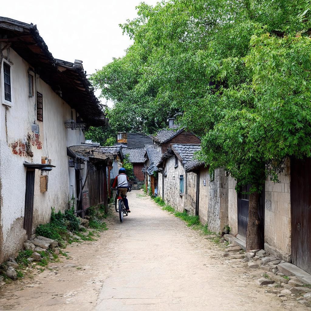 Khong gian yen binh xung quanh cong lang Me Tri Thuong Nam Tu Liem