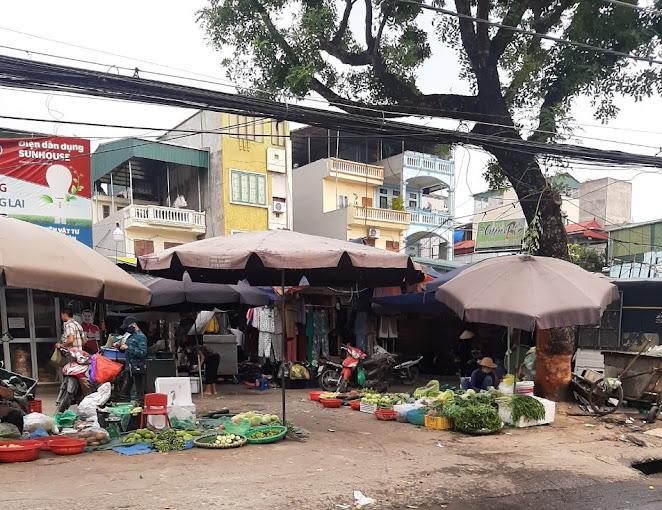 Cac loai rau cu qua tuoi ngon bay ban tai cho dau moi Tan Mai