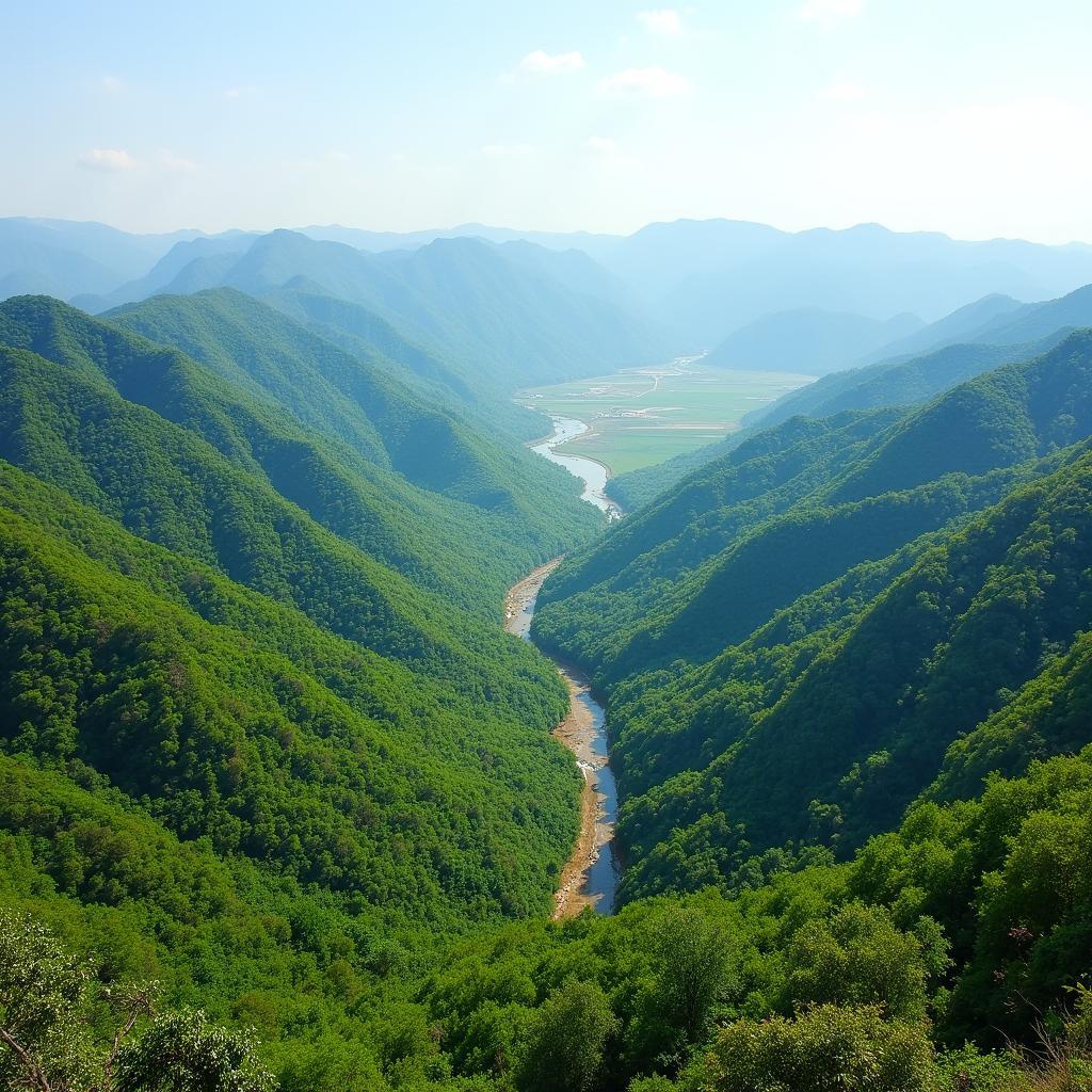 Khung cảnh bình yên của vùng quê Tiên Phước, Quảng Nam với những vườn đồi xanh mướt