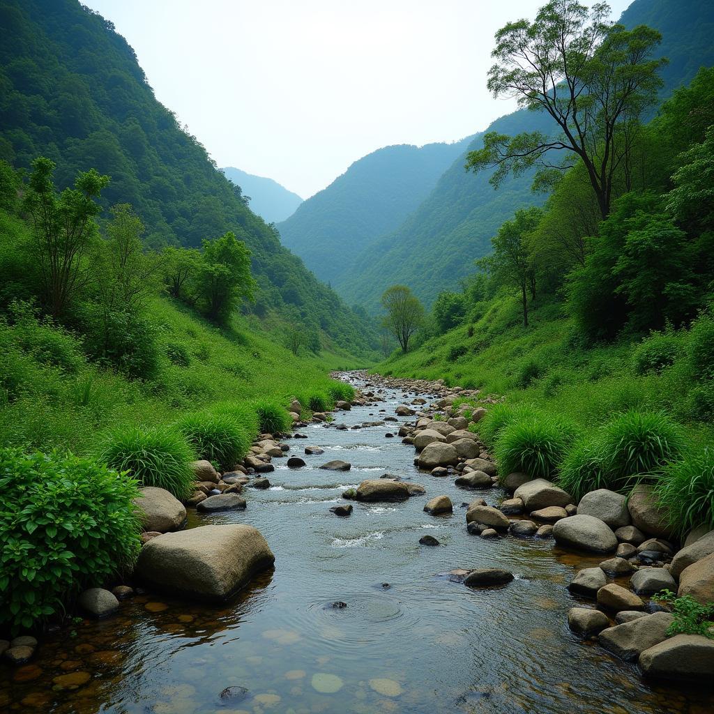 Khung cảnh thiên nhiên tươi đẹp với suối và núi rừng tại Xã Bản Máy, Tỉnh Tuyên Quang.
