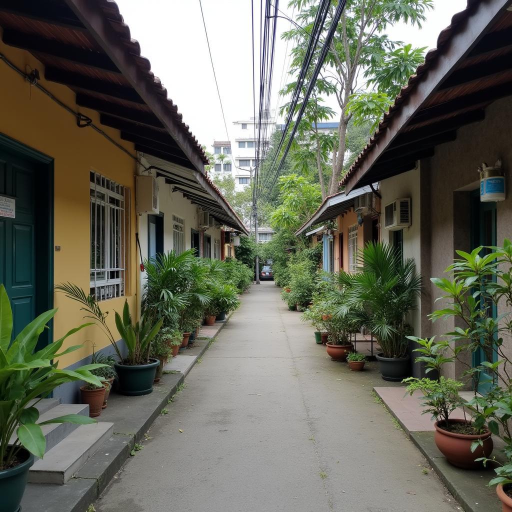 Một con hẻm nhỏ yên tĩnh và sạch sẽ tại Phường Thạnh Mỹ Tây với những ngôi nhà san sát và cây xanh