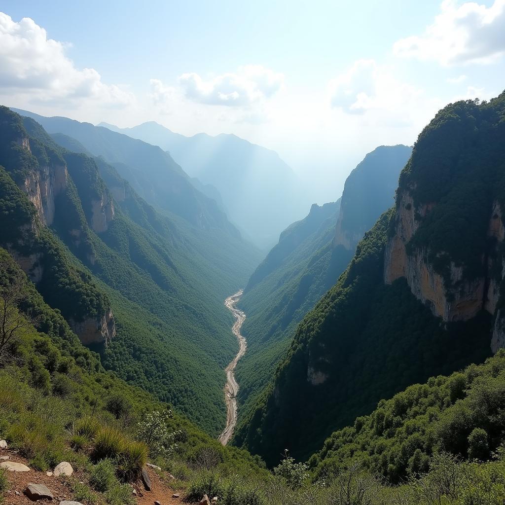 Canh quan nui rung hung vi, doi doc o xa phuoc thanh huyen phuoc son quang nam.