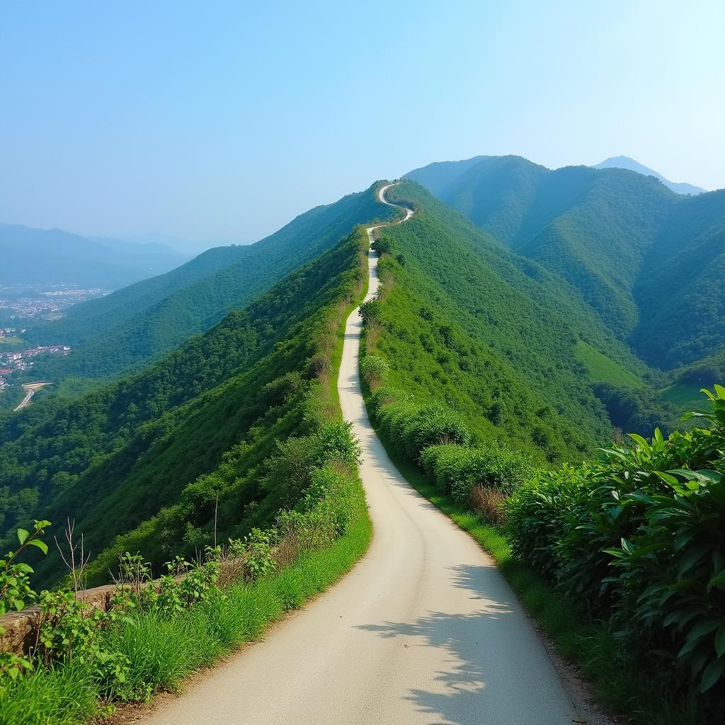 Con đường quanh co dẫn đến Xã Trà Linh Huyện Nam Trà My từ hướng Thành phố Đà Nẵng qua vùng núi Quảng Nam