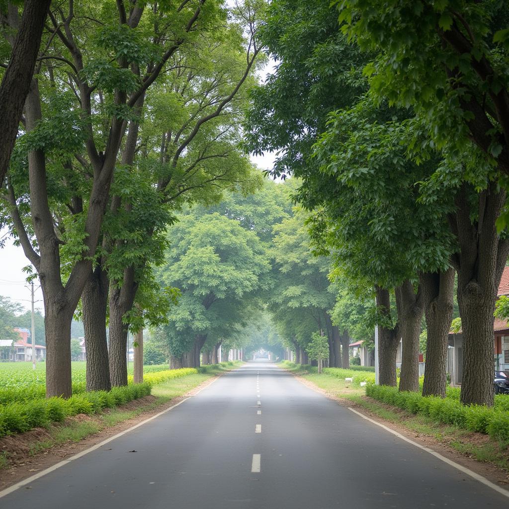 Hướng dẫn đường đi đến Xã Minh Châu, Chương Mỹ, Hà Nội qua con đường quê