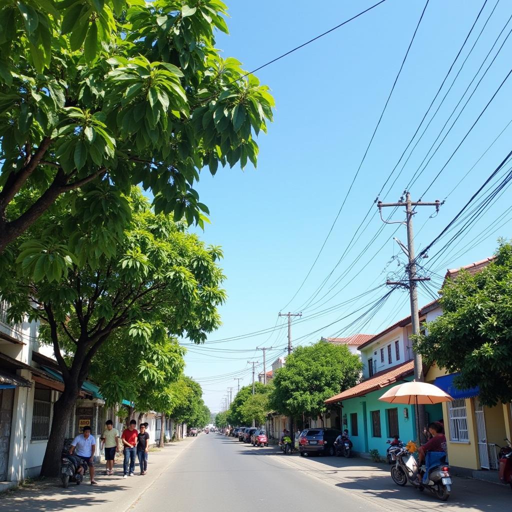 Một góc phố yên bình tại Phường Xuân Hòa, Tỉnh Phú Thọ với hàng cây xanh và những ngôi nhà san sát