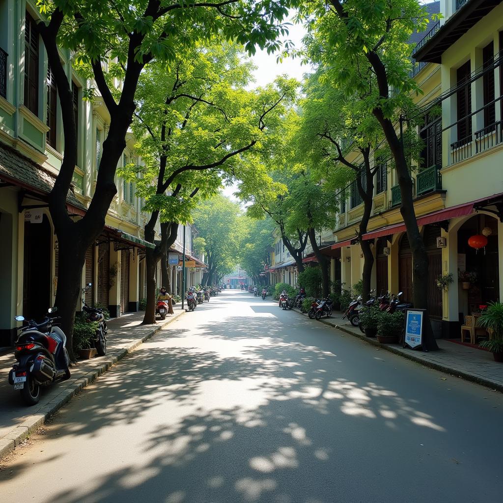 Góc phố bình yên rợp bóng cây xanh trên đường Huỳnh Tịnh Của, Quận 3, TP.HCM
