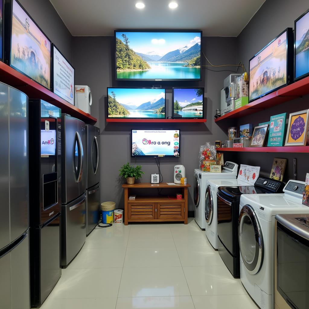 Các loại thiết bị gia dụng bày bán tại Điện Máy Xanh ở Phú Tân Cà Mau