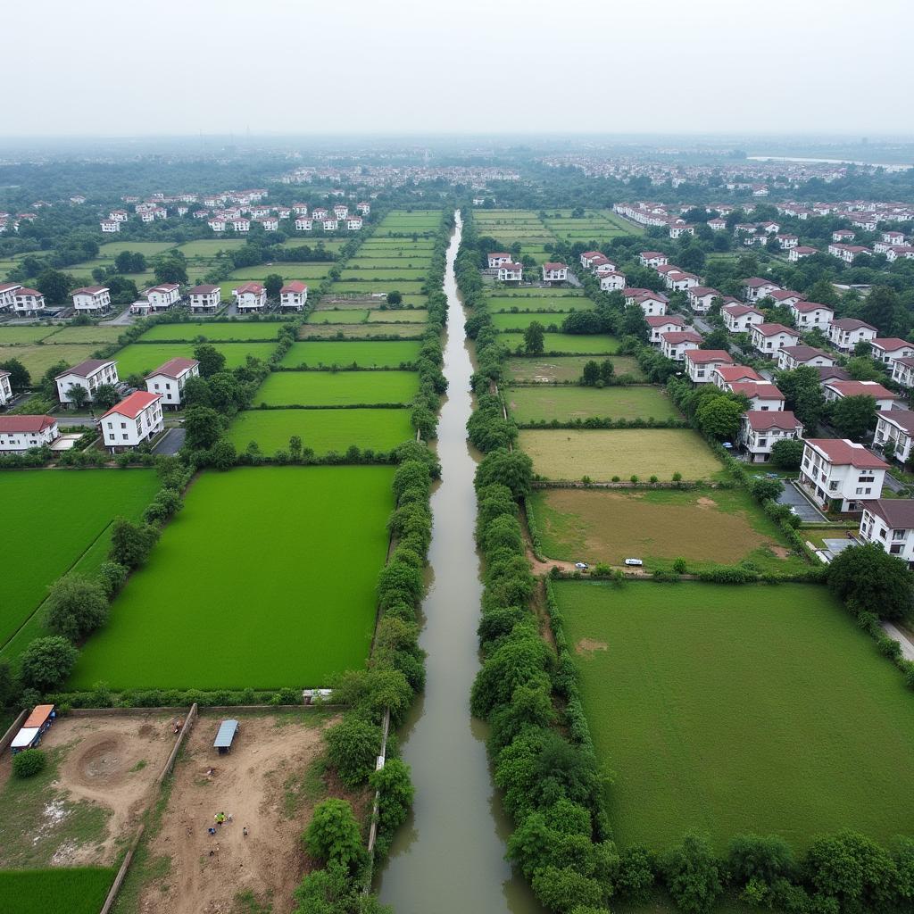 Cảnh quan Xã Tân Vĩnh Lộc Bình Chánh với sự pha trộn giữa đất nông nghiệp và khu dân cư mới