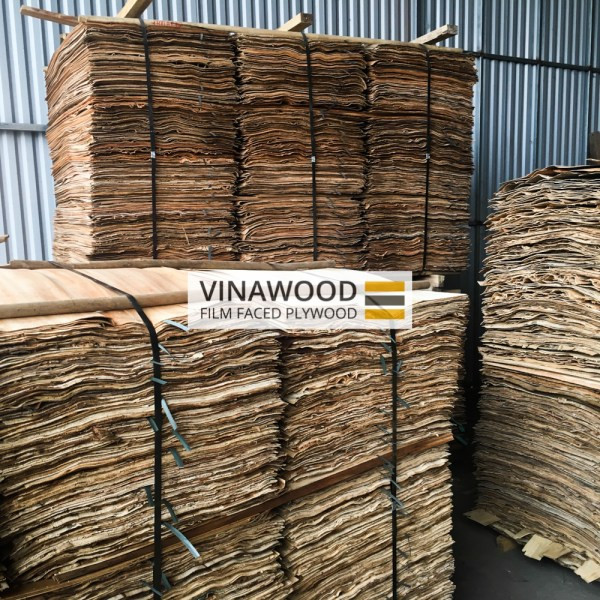 Quy trình sản xuất ván ép chất lượng tại nhà máy Vinawood