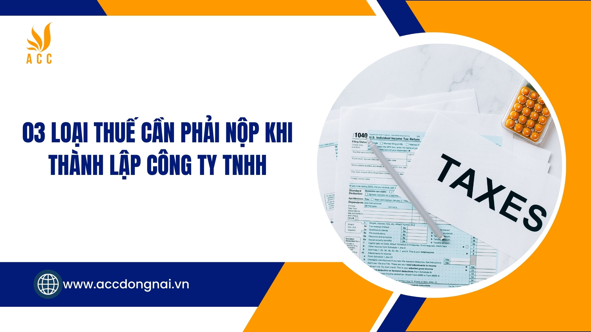 Biểu đồ tóm tắt ba loại thuế chính công ty TNHH phải nộp: Thuế môn bài, Thuế thu nhập doanh nghiệp và Thuế giá trị gia tăng, giúp doanh nghiệp dễ dàng nắm bắt các nghĩa vụ thuế ban đầu.