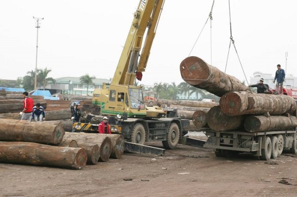 Hoạt động bốc xếp diễn ra hiệu quả của công ty tnhh vận tải thương mại hà anh