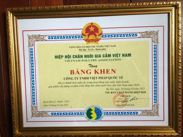 Bằng khen của Hiệp hội Chăn nuôi Gia cầm Việt Nam trao tặng Công ty TNHH Việt Pháp Quốc Tế