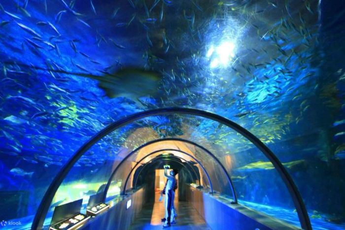 Du lịch Hokkaido tháng 7: Thủy cung Noboribetsu Marine Park NIXE với kiến trúc lâu đài