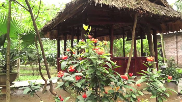 Vườn Sinh Thái Hương Tràm, cảnh đẹp Sóc Sơn