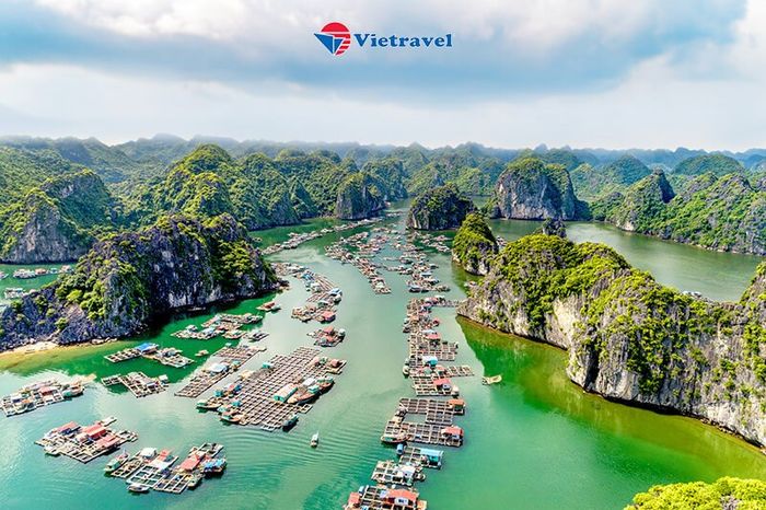 Hình ảnh 1 của VIETRAVEL HẢI PHÒNG