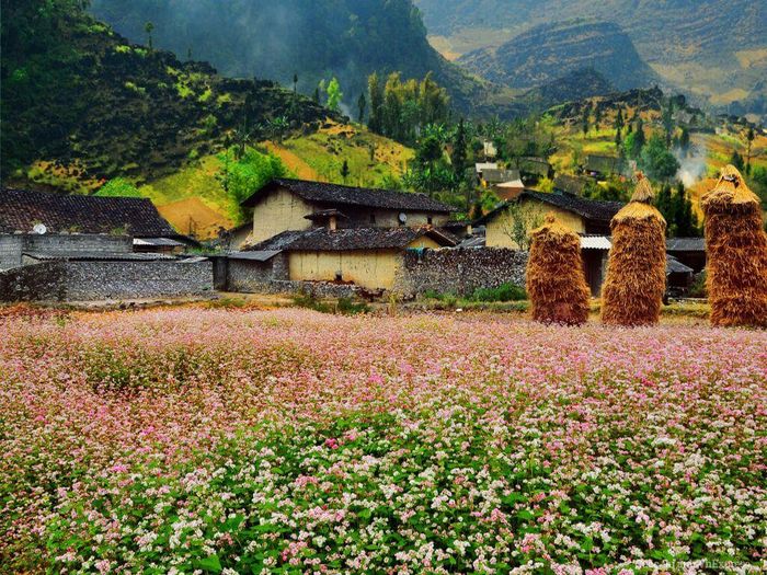 Lũng Cẩm đẹp như một bức tranh thủy mặc trong làn sương sớm, hùng vĩ mà nên thơ