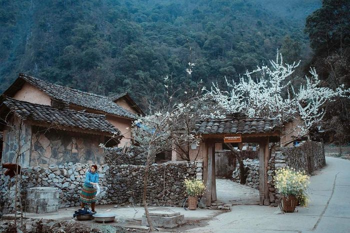 Ngôi làng có nhà truyền thống mang bề dày lịch sử 100 năm với thiết kế cổ kính, mái ngói âm dương