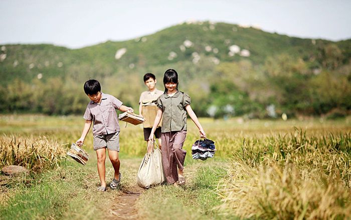 Tôi thấy hoa vàng trên cỏ xanh và hiệu quả quảng bá du lịch Việt Nam