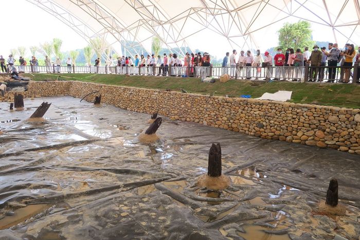 Du khách tham quan Bãi cọc Cao Quỳ vào dịp lễ