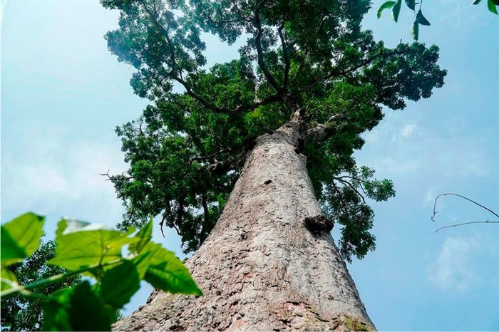 Bến En, điểm du lịch nổi tiếng với biệt danh 