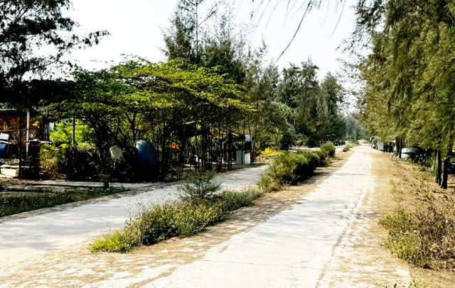 Một đoạn của công trình đường ven biển Đức Lợi. Ảnh: Công Hoàng.
