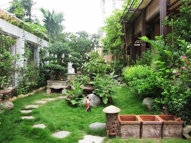 Thiết kế tiểu cảnh sân vườn nhỏ đẹp hài hòa