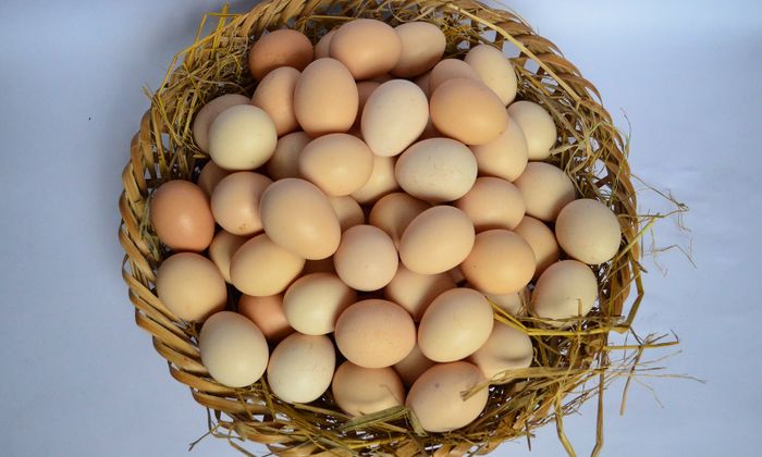 Mẹo chọn thịt heo và trứng tươi ngon cho món thịt heo kho trứng