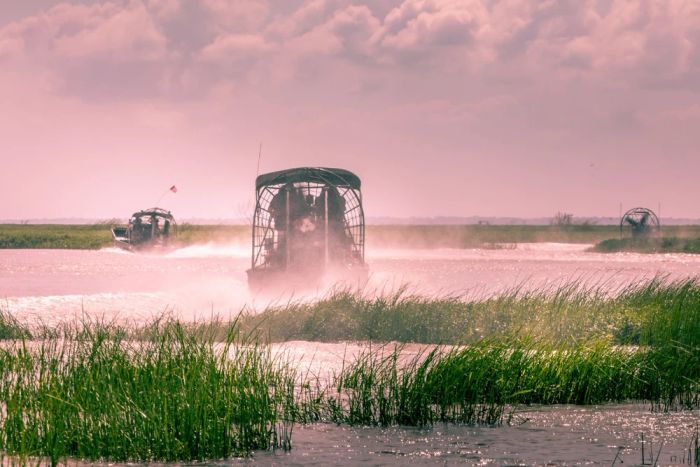 Toàn cảnh Công viên Đầm Lầy Quốc gia Xixi, địa điểm du lịch Chiết Giang thanh bình