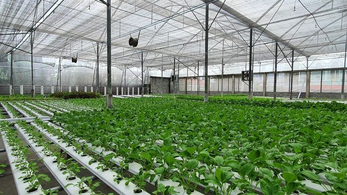 Hình ảnh minh họa hoạt động câu cá