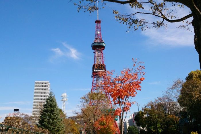 Du lịch Hokkaido tháng 7: Tháp TV Sapporo lung linh về đêm