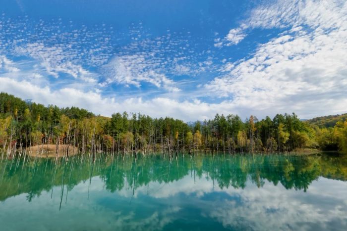 Du lịch Hokkaido tháng 7: Hồ Xanh Biei với màu nước xanh ngọc độc đáo