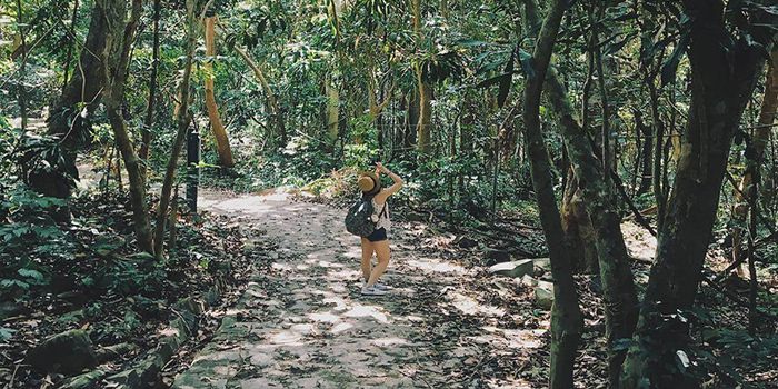 Cung đường trekking tại Sở Rẫy, Côn Đảo