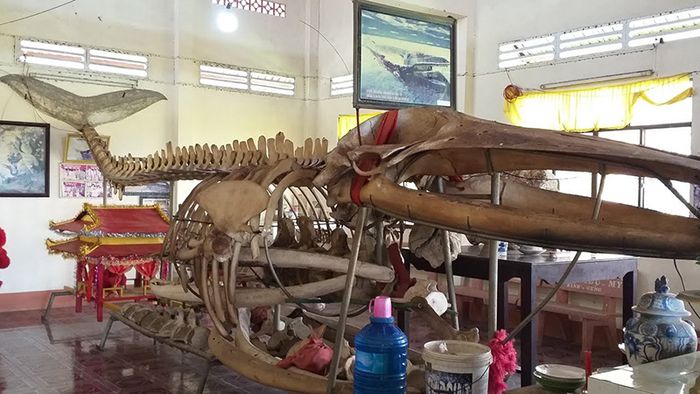 Tham quan Dinh Ông Nam Hải, Hòn Tre tự túc