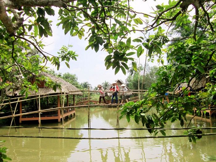 Cầu khỉ độc đáo tại Cù lao Tân Quy Trà Vinh mang đến trải nghiệm thú vị cho khách du lịch