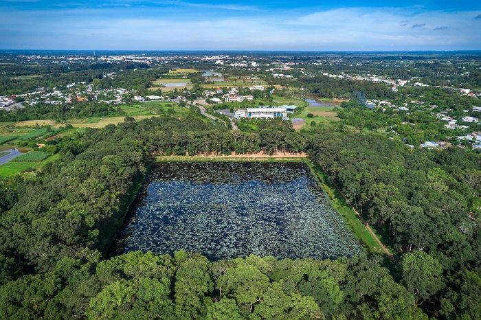 Ao Bà Om, điểm đến xanh mát và được yêu thích nhất trong hành trình du lịch Trà Vinh