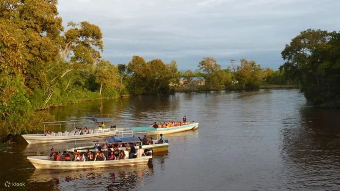 Đầm Lầy Santubong Wetland – Địa điểm du lịch Kuching