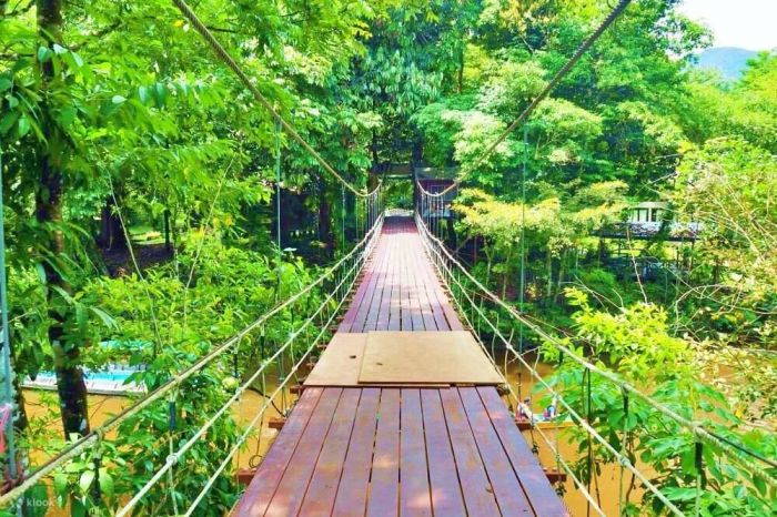 Công Viên Quốc Gia Gunung Mulu – Địa điểm du lịch Kuching
