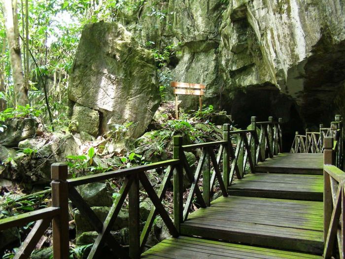 Trung Tâm Bảo Tồn Hang Gió – Địa điểm du lịch Kuching