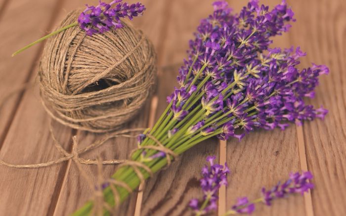 Hoa lavender biểu tượng của sự thuỷ chung