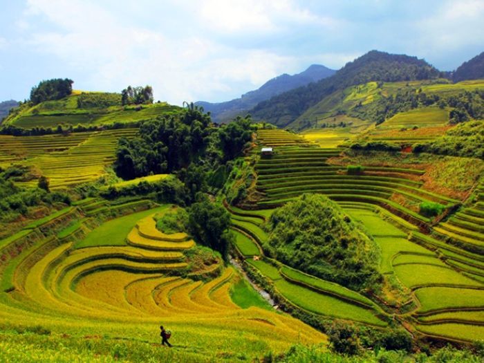 Ruộng bậc thang tuyệt đẹp tại Pù Luông Thanh Hóa