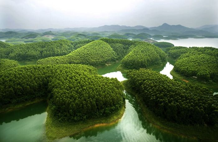 17 điểm du lịch ở Gia Lai sẽ đưa bạn quay về với vẻ đẹp yên bình của đại ngàn.