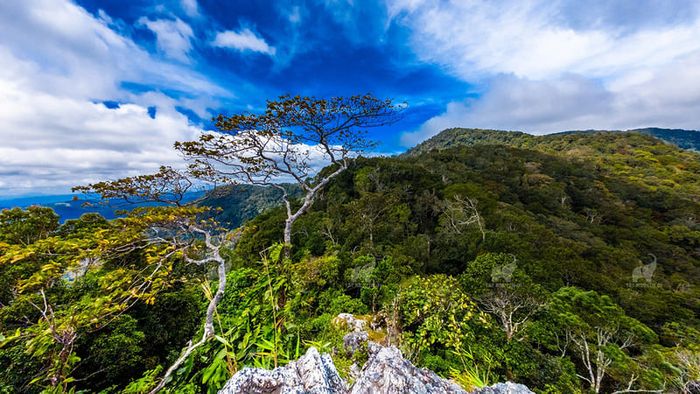 17 điểm du lịch ở Gia Lai sẽ đưa bạn quay về với vẻ đẹp yên bình của đại ngàn.