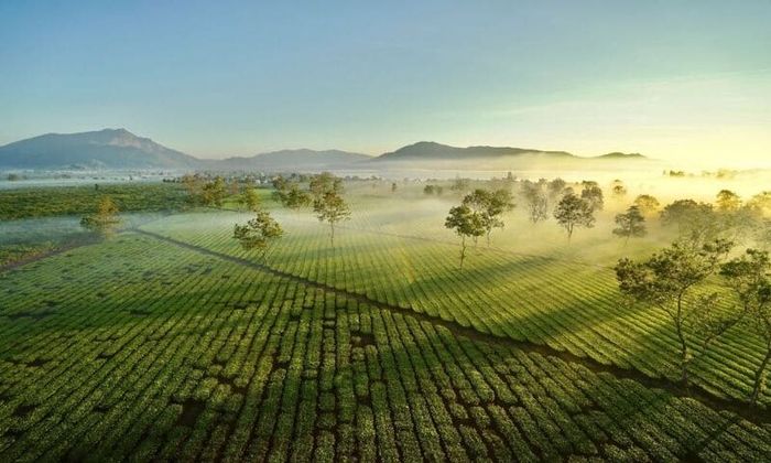 17 điểm du lịch ở Gia Lai sẽ đưa bạn quay về với vẻ đẹp yên bình của đại ngàn.