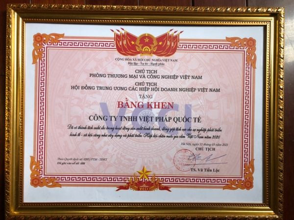 Bằng khen của Hội Thương mại &amp; Công nghiệp Việt Nam và Hội đồng Trung ương các Hiệp hội Việt Nam