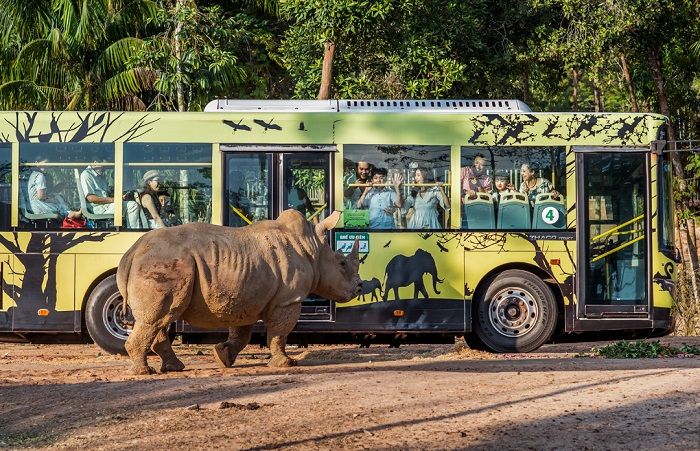 Trải nghiệm Vinpearl Safari Phú Quốc, một trong những điểm đến hấp dẫn gần Bãi Vòng.