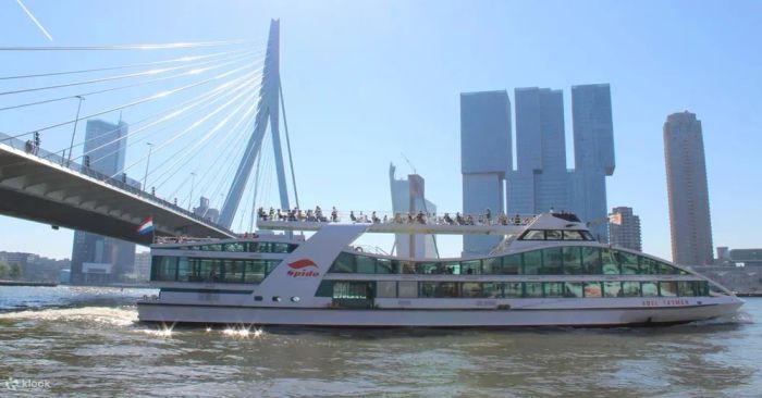 Cầu Thiên Nga Erasmusbrug, biểu tượng kiến trúc hiện đại của Rotterdam