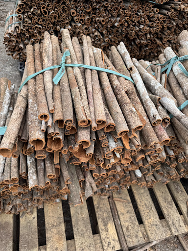 Công Ty TNHH Xuất Nhập Khẩu Gia Vị TH - Dịch Vụ Xuất Nhập Khẩu Uỷ Thác Công ty dịch vụ xuất nhập khẩu uỷ thác Hà Nội