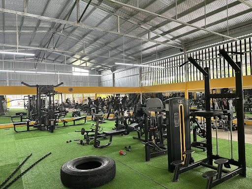 GYM 161 - Phòng Tập Gym Sóc Trăng