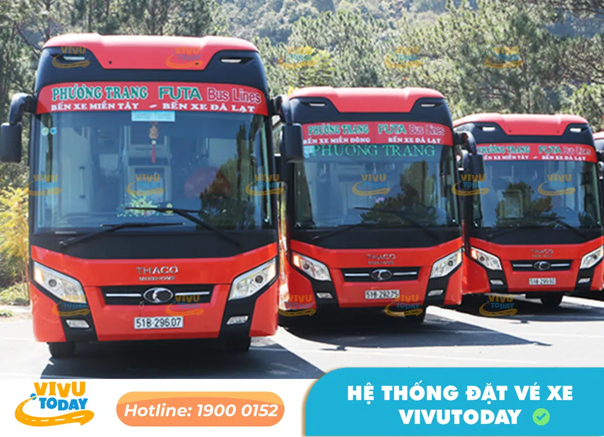 Xe Phương Trang Đà Lạt Sài Gòn