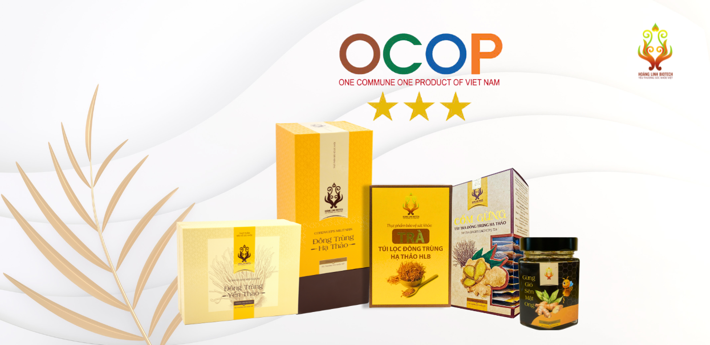 Chứng nhận OCOP 3 sao cho sản phẩm, minh chứng cho sự công nhận về chất lượng và tiêu chuẩn cao mà CÔNG TY TNHH CƠ ĐIỆN HOÀNG LINH cũng luôn hướng tới trong lĩnh vực của mình.